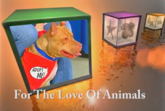 For The Love of Animals is BACK and available on YouTube!