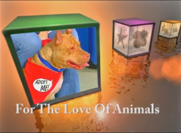 For The Love of Animals is BACK and available on YouTube!