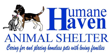 humane-haven-animal-shelter-dog-cat-tagline