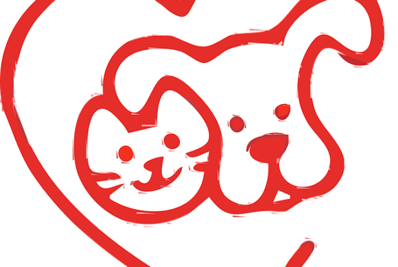 Share your love this Valentine’s Day with the animals of HHAS! Share your love this Valentine’s Day with the animals of HHAS!