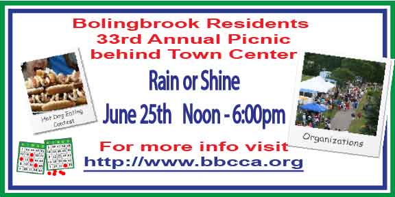 Bolingbrook Picnic graphic