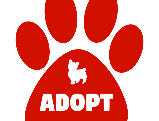 Adoption Hours – Saturday April 20