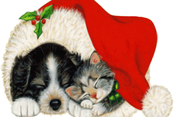 There Will Be No Adoption Hours on December 24th and 31st There Will Be No Adoption Hours on December 24th and 31st