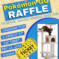 Announcing our Raffle Prize for tomorrow’s Pokemon GO Community Day!