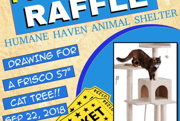 Announcing our Raffle Prize for tomorrow’s Pokemon GO Community Day! Announcing our Raffle Prize for tomorrow’s Pokemon GO Community Day!