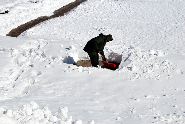 Tired of shoveling? Let Beggars Pizza cook for you AND help HHAS!