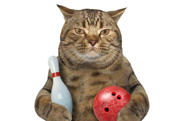 Only 3 Days Left! Register Today for the 19th Annual Bowling Fundraiser! Only 3 Days Left! Register Today for the 19th Annual Bowling Fundraiser!