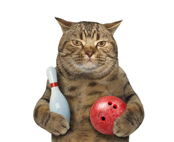 Only 3 Days Left! Register Today for the 19th Annual Bowling Fundraiser! Only 3 Days Left! Register Today for the 19th Annual Bowling Fundraiser!
