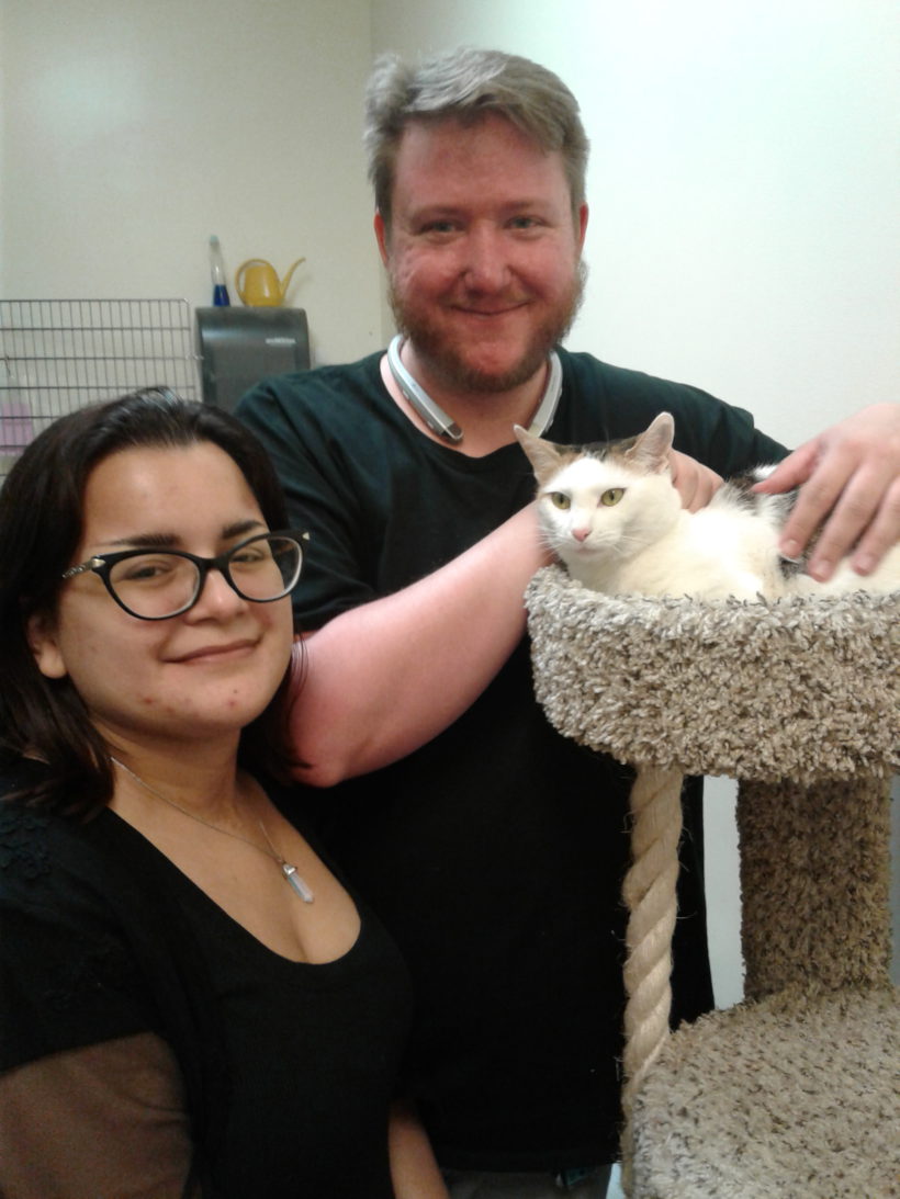 Cat Heidi with her Forever Family
