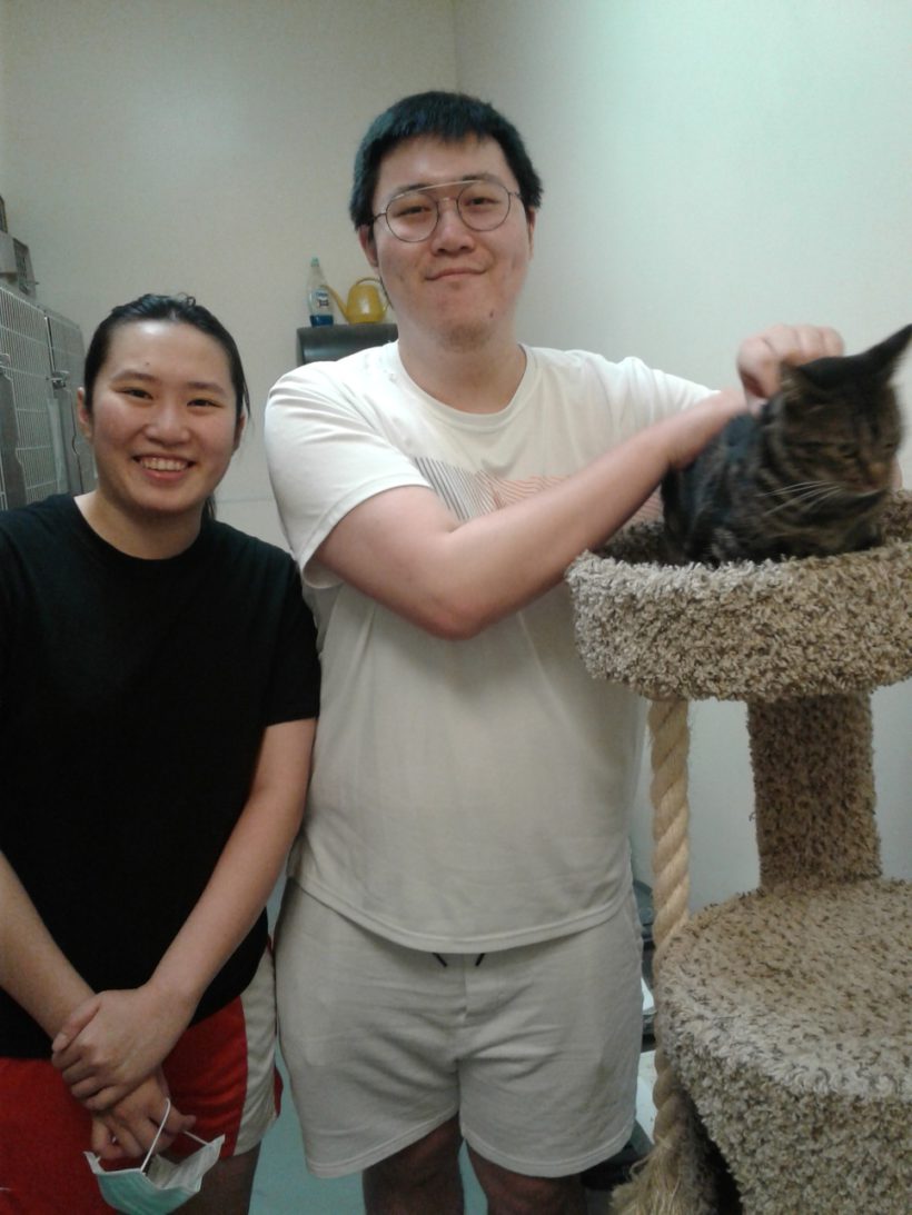 Cat Ace with his Forever Family