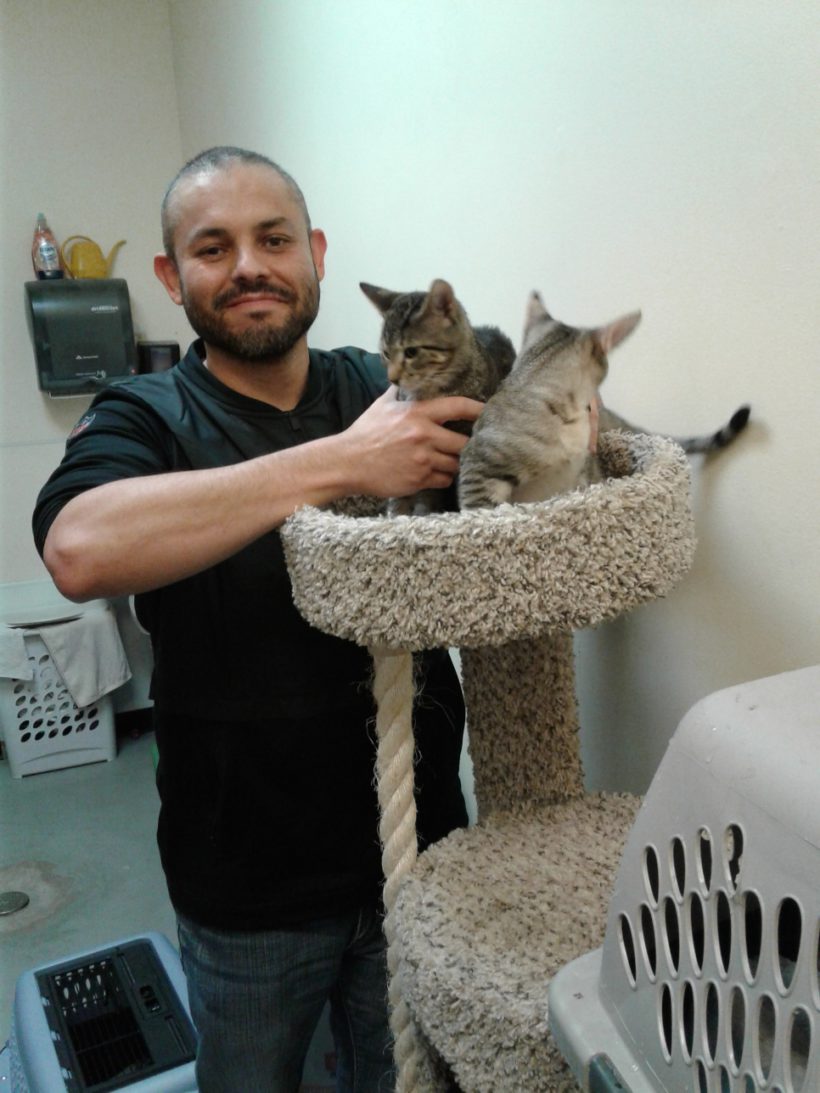 Cats Smoke and Reid with new Forever Family