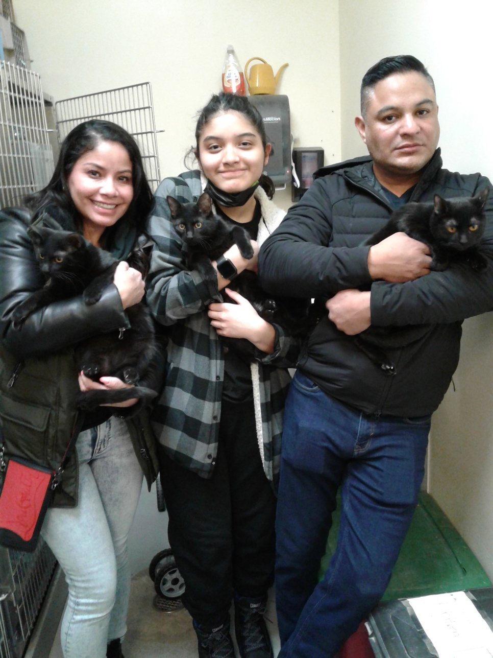 Cats Ronald, Midnight and Luna with their forever family