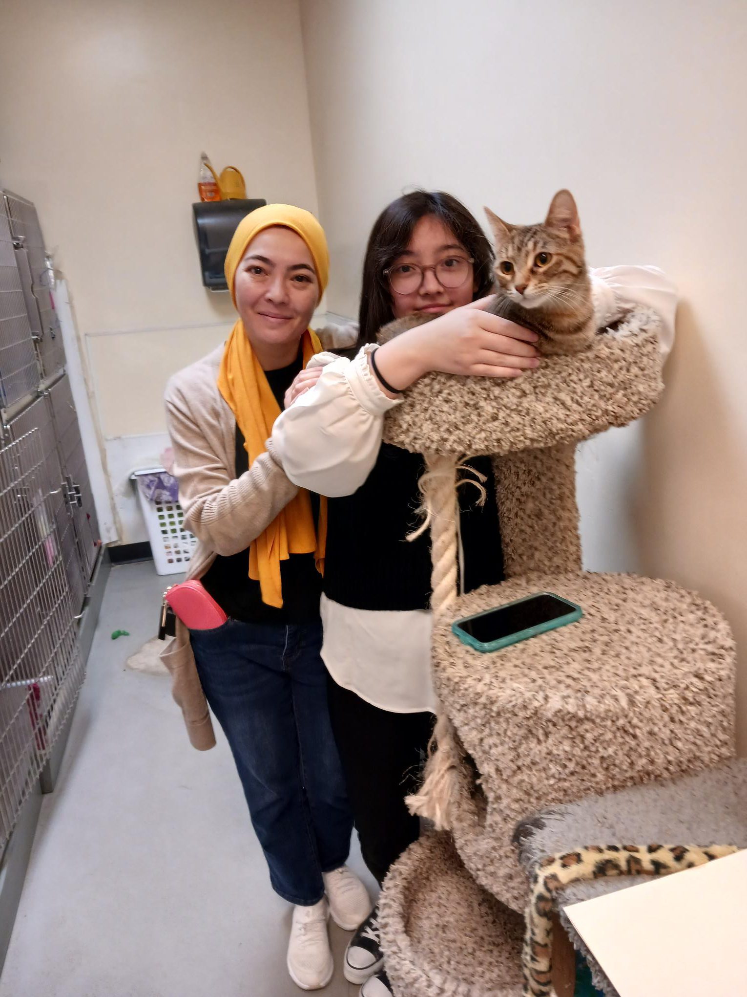 Cat Penny with new family