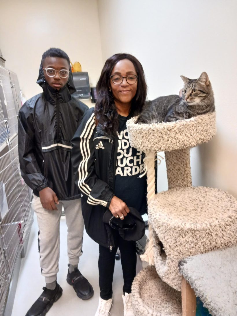 Cat Toby with new family