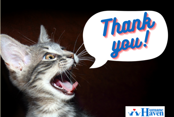 Happy Mews, thanks to Argonne National Lab!